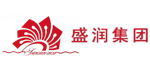 盛潤(rùn)控股